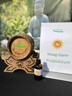Probioticum maag- darm