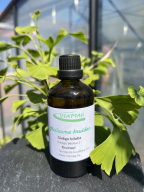 ginkgo biloba tinctuur