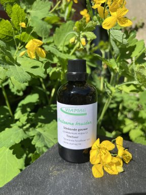 stinkende gouwe tinctuur