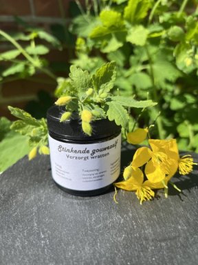 stinkende gouwe zalf