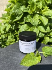 citroenmelisse zalf citroenmelisse zalf