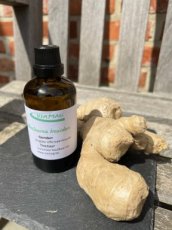 gember tinctuur gember tinctuur