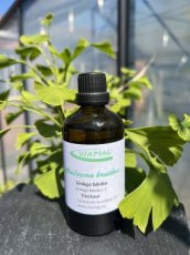 ginkgo biloba tinctuur ginkgo biloba tinctuur
